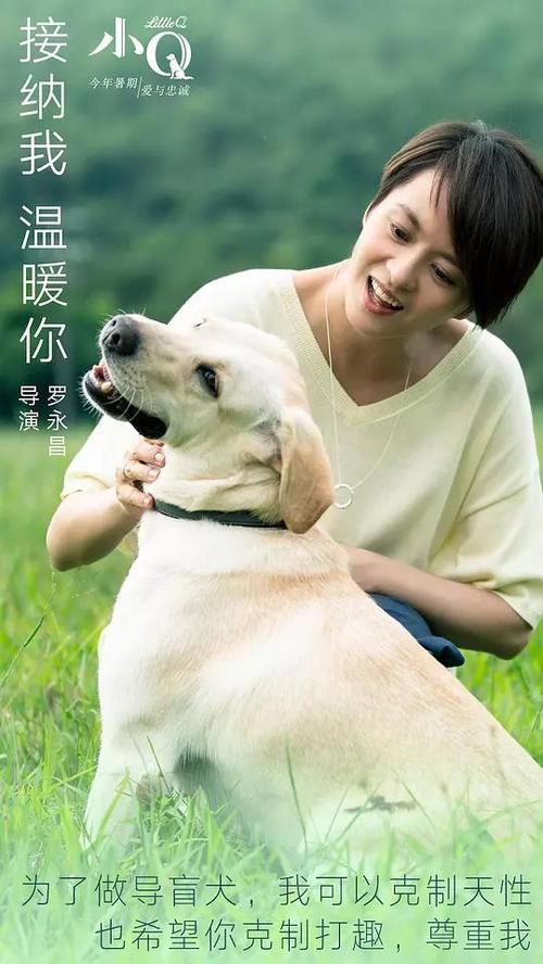 哪里能办理海军陆战队大学文凭毕业证